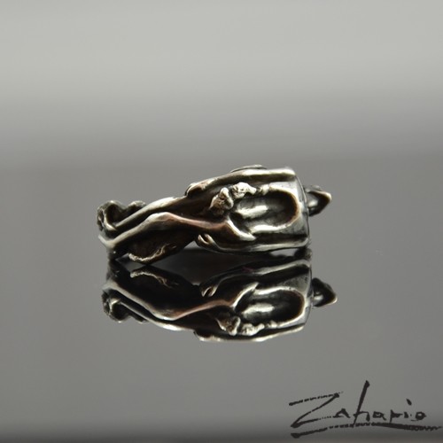 Pierścień Głód Srebro Zahario